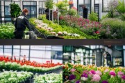 花卉生产企业管理方案，技术创新与战略优化