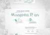 Management Plan PPTTemplate