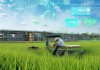Rice Production Management and Distribution Optimization Plan: A Comprehensive Guide