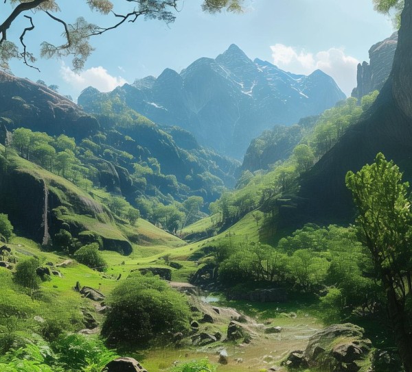 碧桂园，传统管理与现代变革的融合