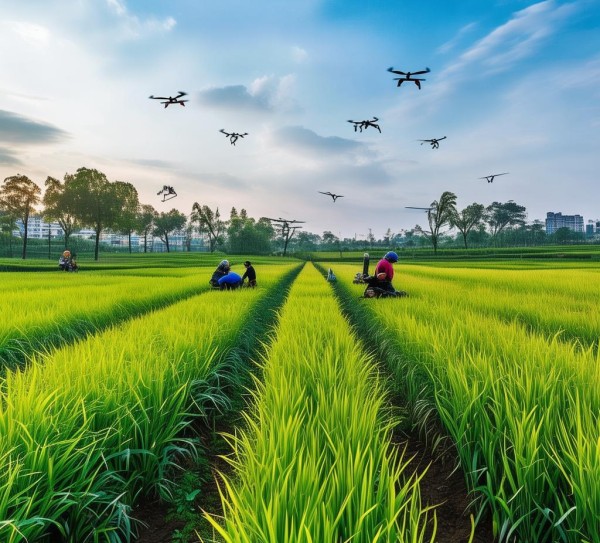 成都谷子，精准管理创新实践，成都谷子，精准管理创新实践的实践