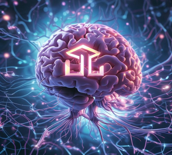 人类大脑的进化密码与亚朵企业的独特文化密码，人类与企业的完美结合