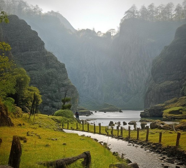 枣林建筑，高效管理与国际化发展的管理方案