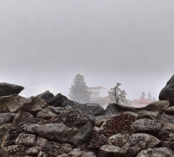 以天鲜产业推动现代化城市经济转型，构建现代城市经济新高地