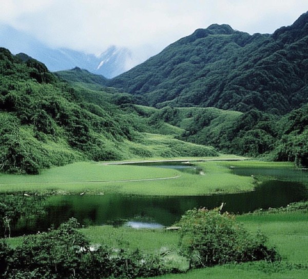 龙江森工，企业文化之光，成就卓越的未来